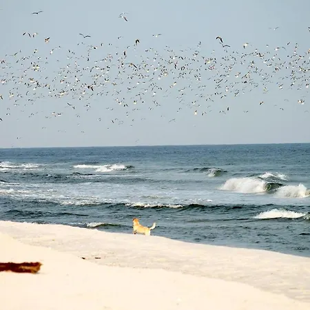 White Pearl 3.02 Lejlighed *